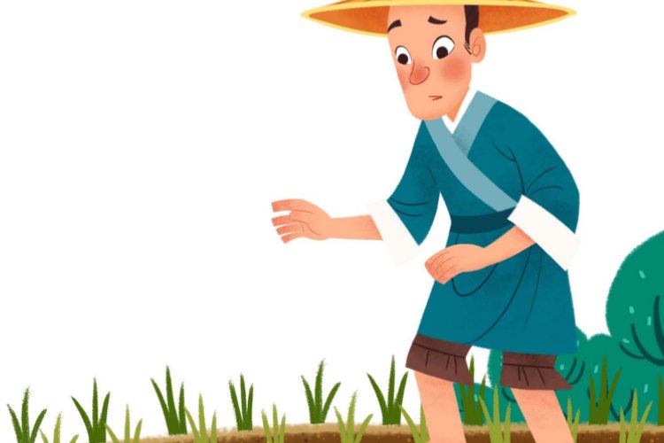 苗助长揠苗助长的意思