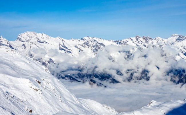 Happy new year翻译