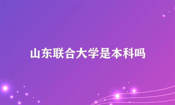 山东联合大学是本科吗