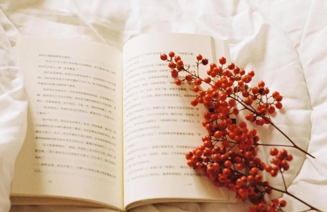 二话不说的意思