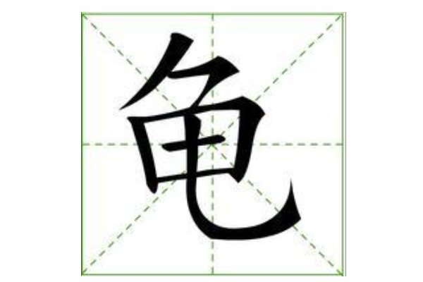 龟的拼音怎么写