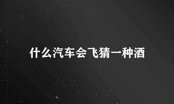 什么汽车会飞猜一种酒