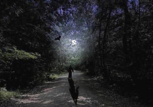 “半夜叫你别回头”这种说法是什么依据？