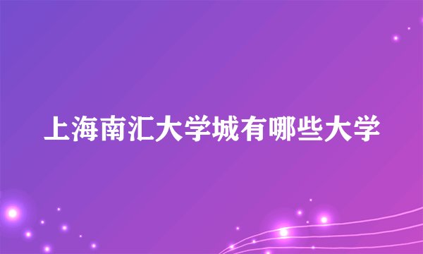 上海南汇大学城有哪些大学