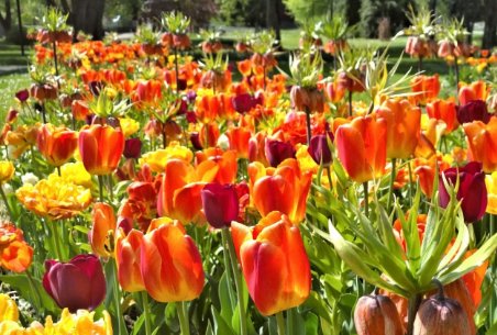 群什么吐什么的四字词语