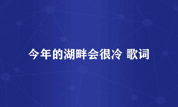 今年的湖畔会很冷 歌词