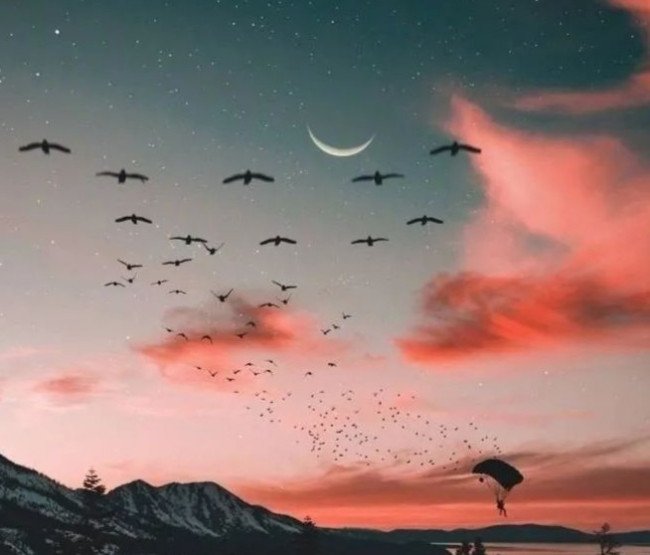 女孩对我说臭不要脸幽默怎么回答