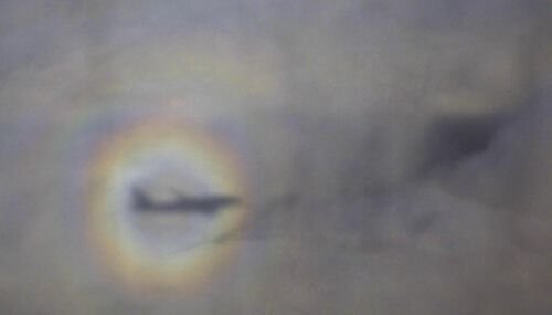 亚里士多德错觉实验 理论依据以及案例有哪些