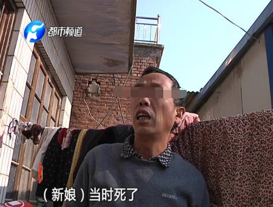 “万紫千红一片绿”一共是多少钱？