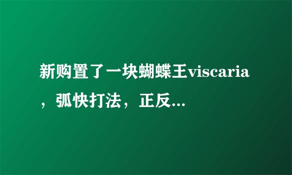 新购置了一块蝴蝶王viscaria，弧快打法，正反手的套胶如何配啊？