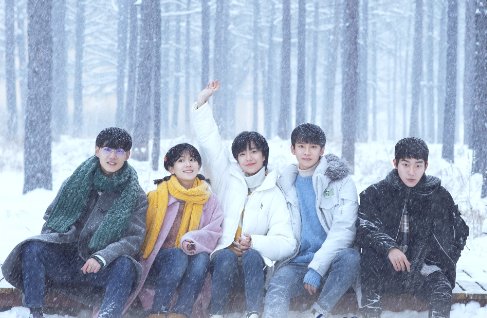 庄达菲演过的电视剧