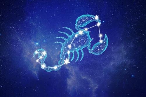 十一月十八号是什么星座？