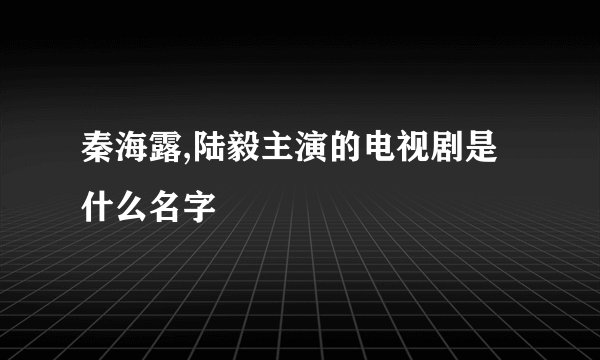 秦海露,陆毅主演的电视剧是什么名字