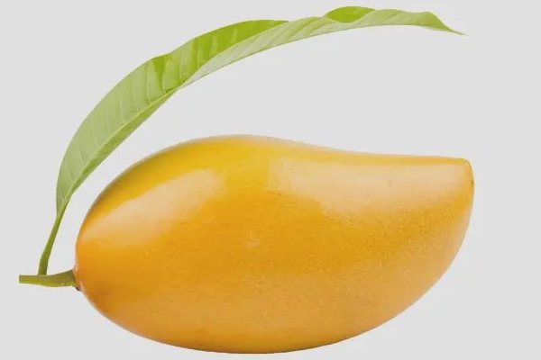 什么水果寓意金榜题名