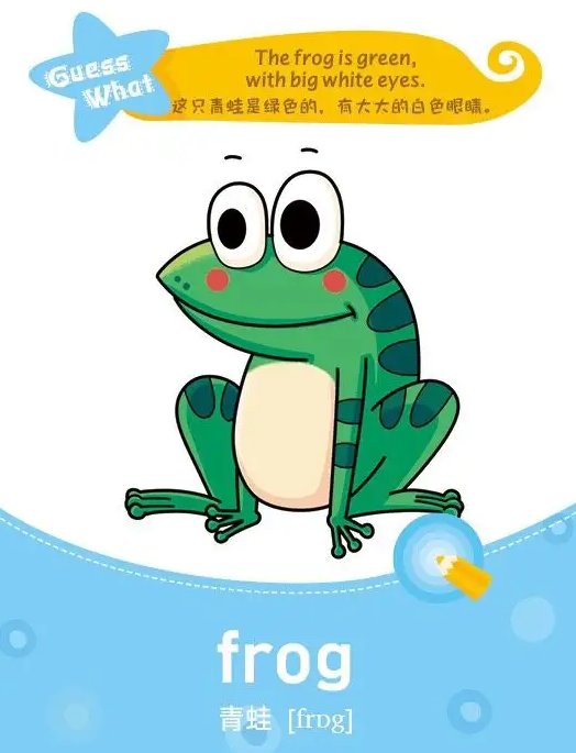 frog是什么意思英语