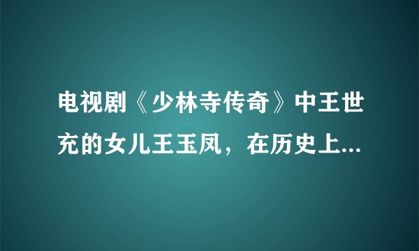 电视剧《少林寺传奇》中王世充的女儿王玉凤，在历史上真有王玉凤这人吗？