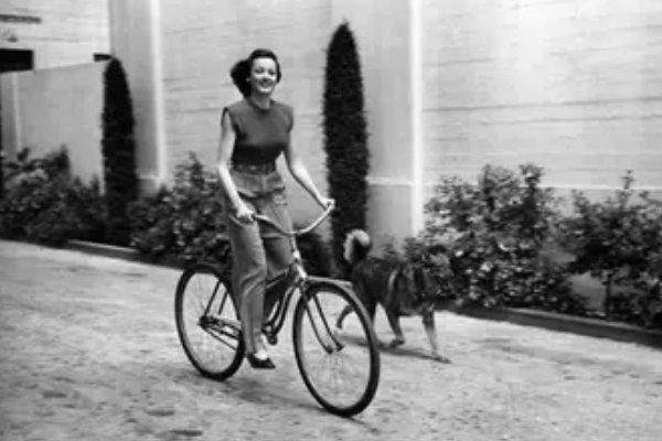 rides是什么意思