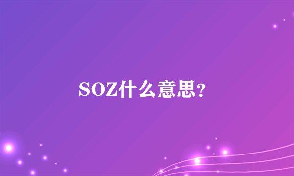SOZ什么意思？