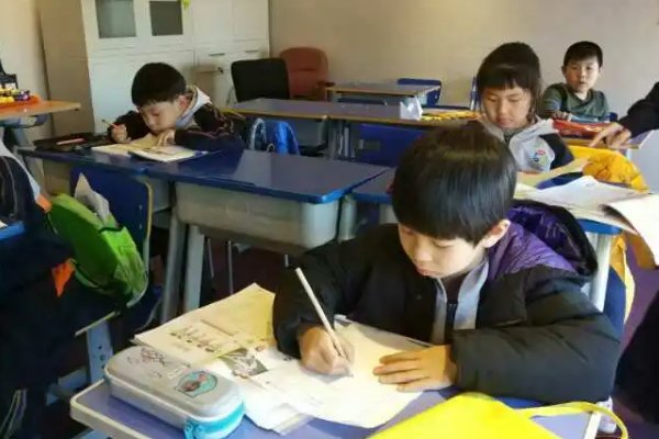 博雅教育是什么