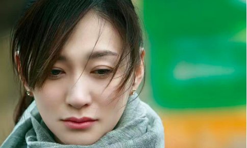 李小冉主演的电视剧全部