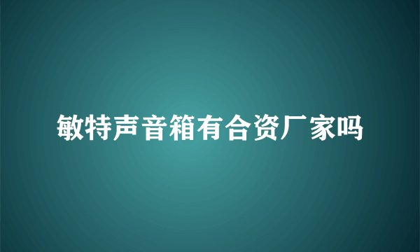 敏特声音箱有合资厂家吗