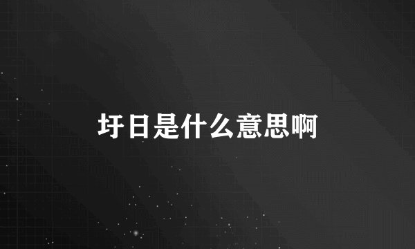 圩日是什么意思啊