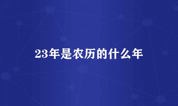23年是农历的什么年