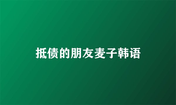 抵债的朋友麦子韩语