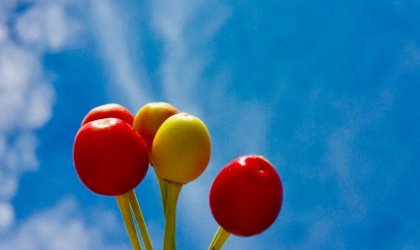 augenstern什么意思？