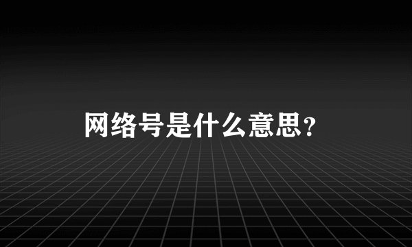 网络号是什么意思？