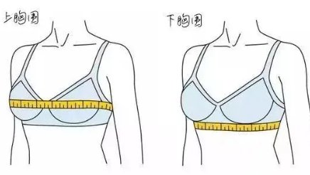 36e是指多大呀？