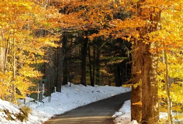 怅然的拼音和意思