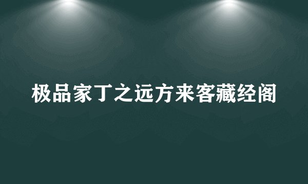极品家丁之远方来客藏经阁