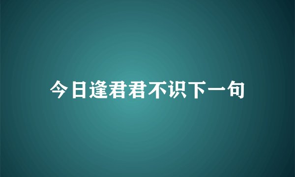 今日逢君君不识下一句