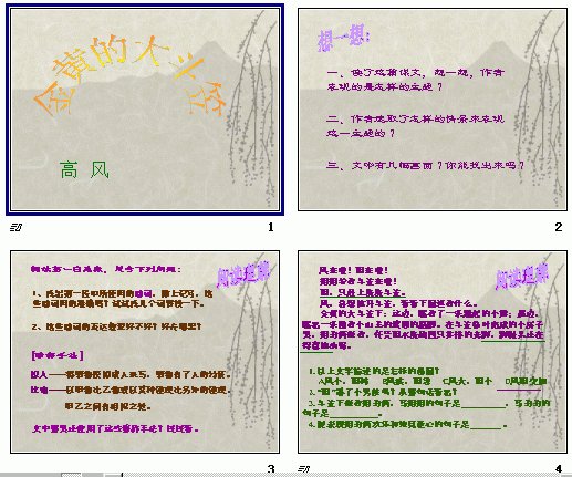 金黄的大斗笠的介绍