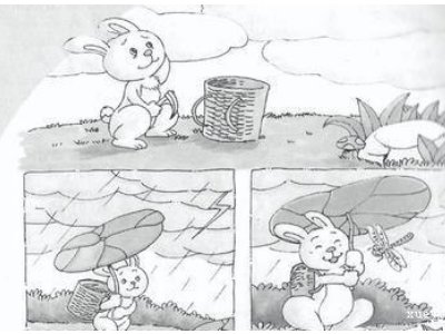 写出小羊回家的经过。