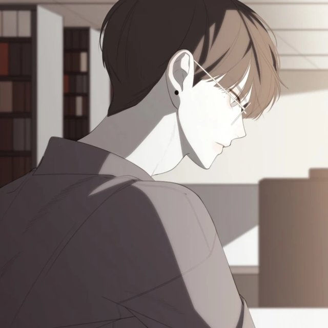 荒野植被讲的什么