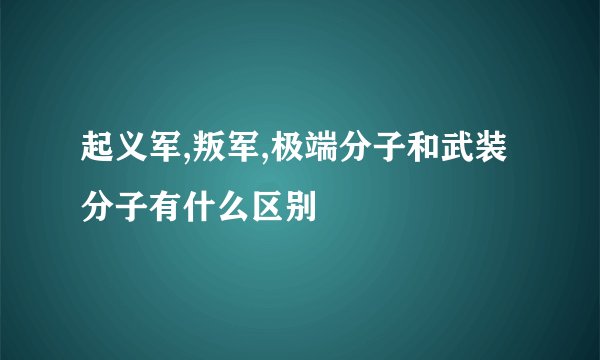 起义军,叛军,极端分子和武装分子有什么区别