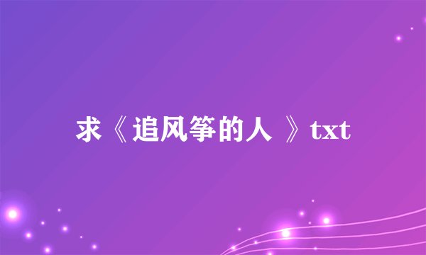 求《追风筝的人 》txt