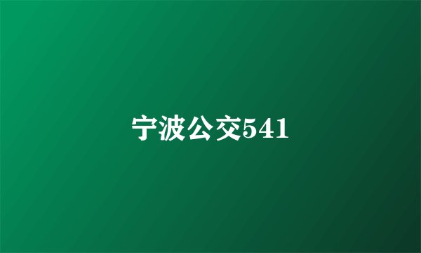 宁波公交541