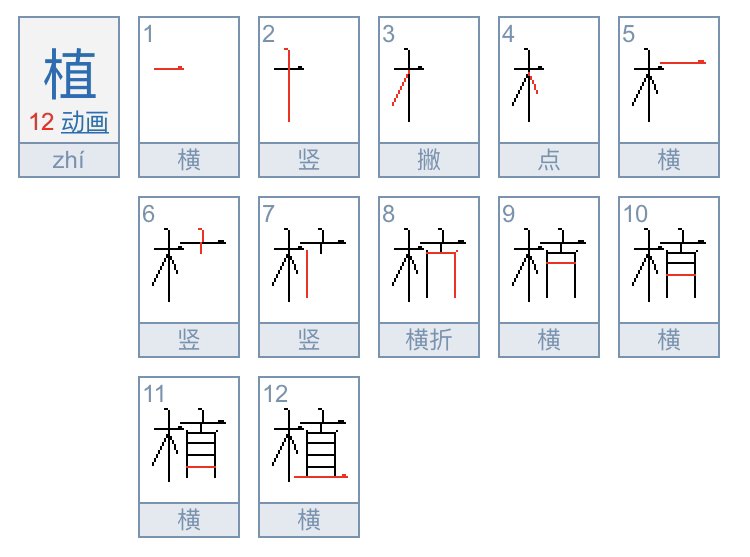 植的笔顺怎么写？