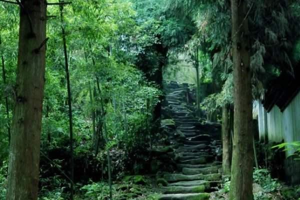 苦雨终风也解晴