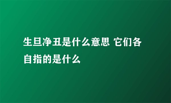 生旦净丑是什么意思 它们各自指的是什么
