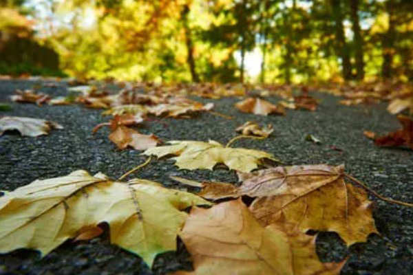 黄色的词语有哪些?