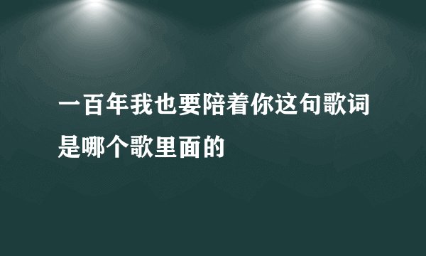 一百年我也要陪着你这句歌词是哪个歌里面的