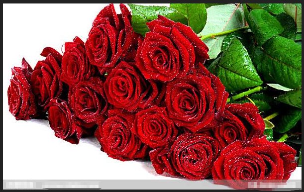 七朵玫瑰花代表什么