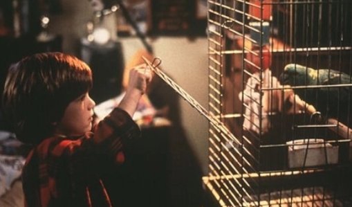 小鬼当家4和5在哪里看