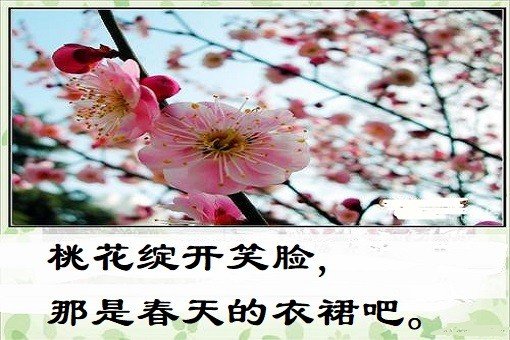 桃花是春天的什么？