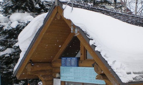 如何用雪字取个优雅的网名？