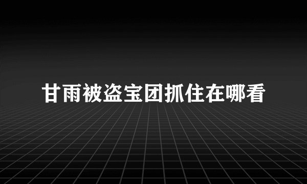 甘雨被盗宝团抓住在哪看